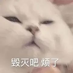 关于苏丹的两种声音